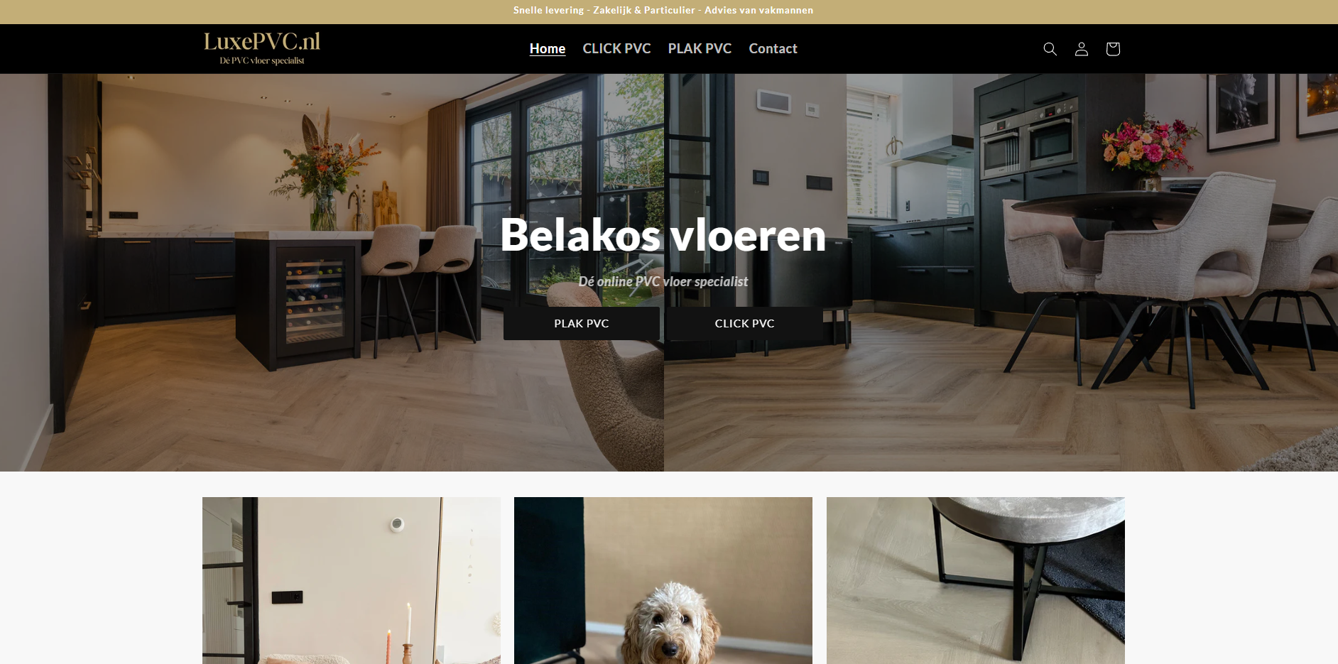 Voorbeeld websiteontwerp door Valuenite IT